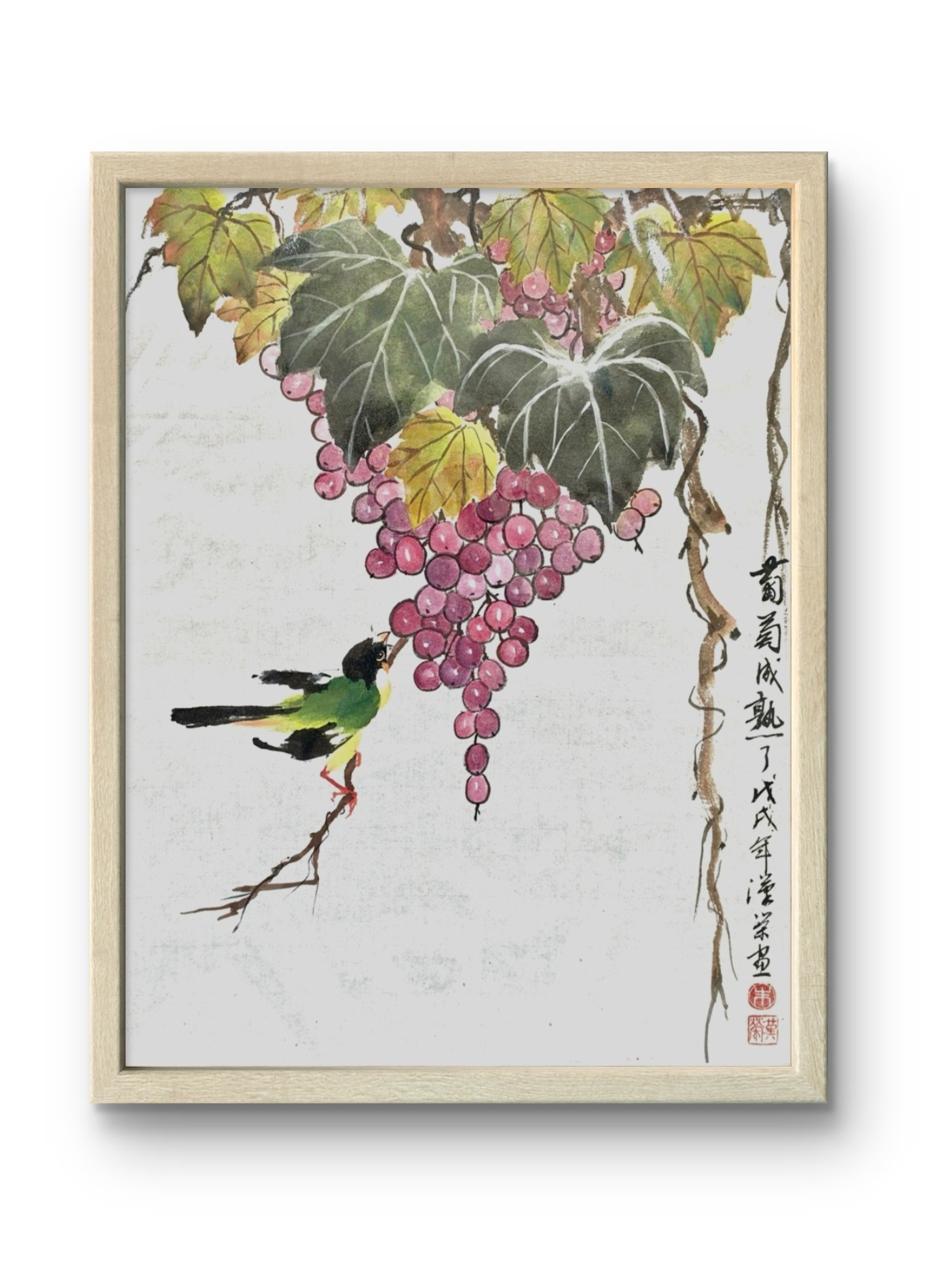 Ripe Grapes 葡萄成熟了